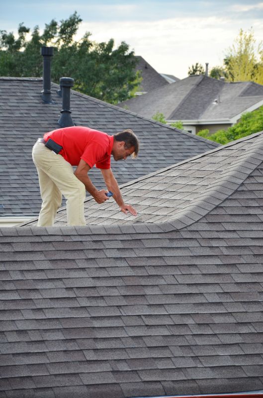 Roof Inspection by a Professional